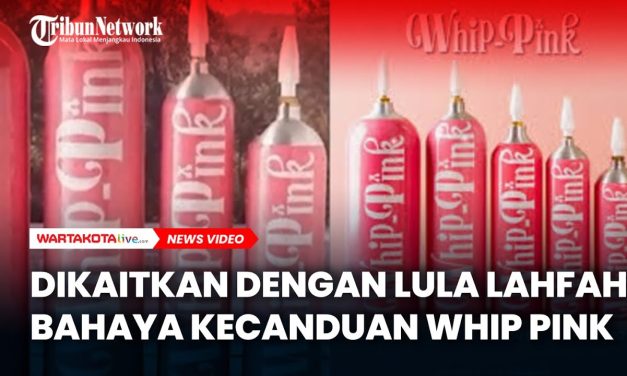 Fenomena Whip Pink Di Kalangan Masyarakat, Emang Bahayaya?