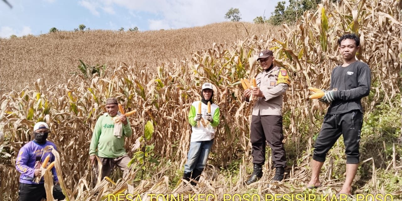 Pangan Di Indonesia Sebagai Cadangan Makanan Di Masa Depan