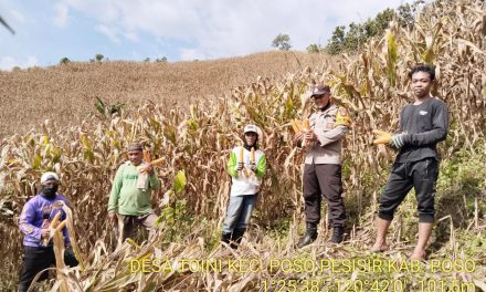 Pangan Di Indonesia Sebagai Cadangan Makanan Di Masa Depan