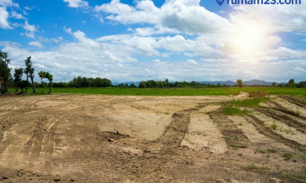 Pemanfaatan Lahan Kosong Atau Bercocok Tanam, Yuk Kita Bahas