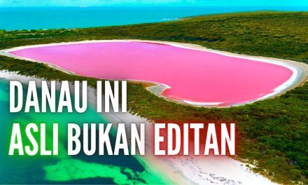 Fakta Unik Danau Hillier: Misteri Danau Merah Muda Di Australia