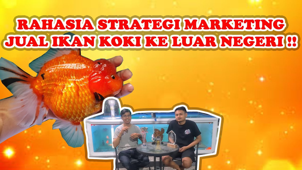 Ide Bisnis Ikan Koki