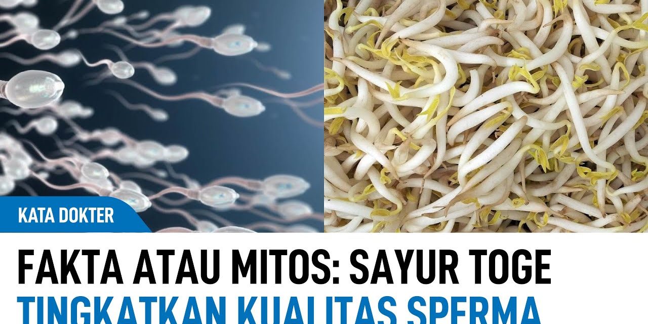 Mitos Vs Fakta Sayur Tauge Bisa Membuat Cepat Hamil ?