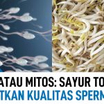 Mitos Vs Fakta Sayur Tauge Bisa Membuat Cepat Hamil ?