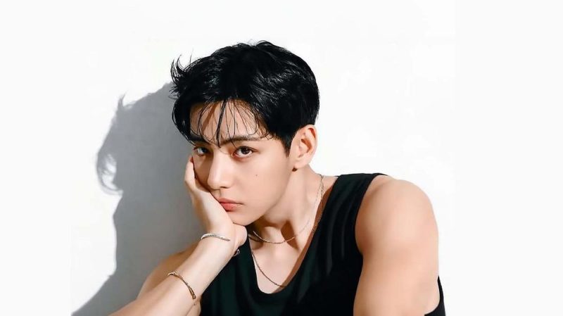 Kim Taehyung Penampilan Visualnya Yang Memukau